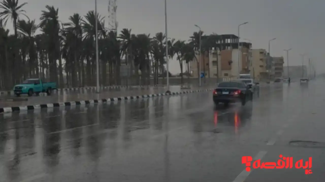 تحذير هام.. سقوط أمطار علي الشمال والقاهرة تسجل 12 درجة 2025